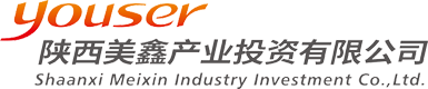 陜西美鑫產業投資有限公司